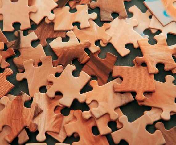 Puzzle Pieces